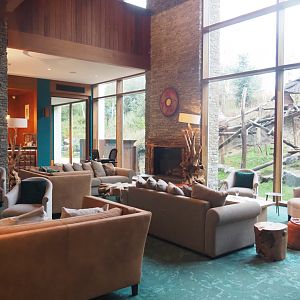 Lobby of The Paddling Bear Hotel, 2022-09-14