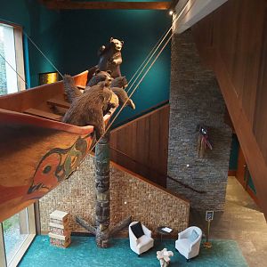 Lobby of The Paddling Bear Hotel, 2022-09-14