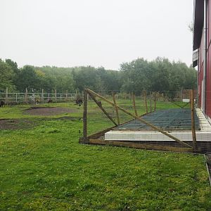 Soay sheep paddock on the living roof of the kitchen and restaurant of The Paddling Bear Hotel, 2022-09-14