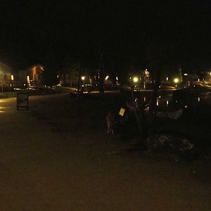 Nocturnal view in the Native Village area of The Last Frontier, 2022-09-14