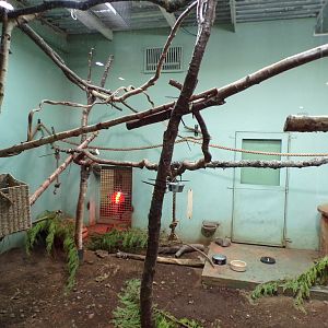 Temporary sloth enclosure (2)