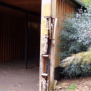 Former panda enclosure rotting