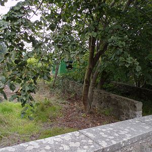 Former pudu enclosures