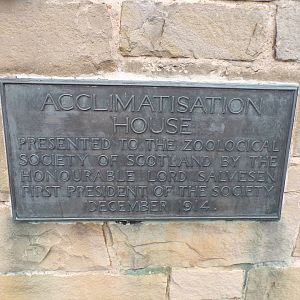 Wee beasties house opening date