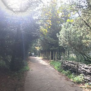 Path going down to asiatic lion enclosure