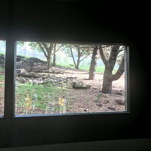 View from the lower giant anteater viewing area