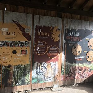 Sumatran tiger signage in viewing hut