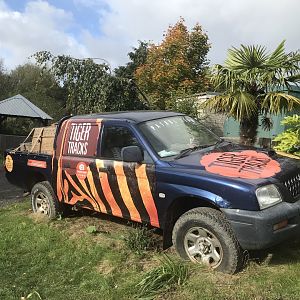 Car decoration in tiger tracks