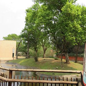 Red-collared Brown Lemur (Eulemur collaris) Enclosure outside island