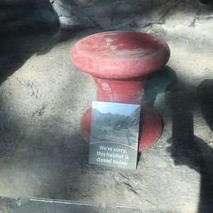 Desert: Exhibit Closed Sign in Cape Porcupine Habitat