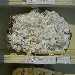 Aragonite
