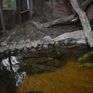 Green anaconda enclosure