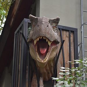 T. rex head