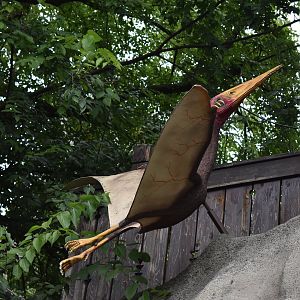 Pterosaur