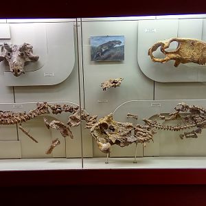 Upper Kazanian (Late Permian) vertebrate fauna of Eastern Europe