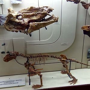 Ocher fauna (Upper Kazanian, Late Permian)