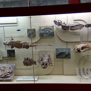 Severodvinian fauna (Upper Tatarian, Late Permian)