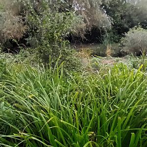 Selenga general View