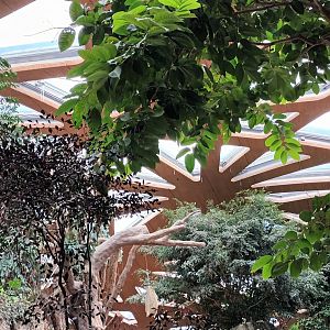 Kaeng Krachan Elephant Park Roof