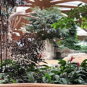 Kaeng Krachan Elephant Park General View