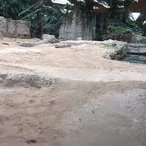 Kaeng Krachan Elephant Park Asian Elephant indoor Enclosure