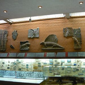 Late Paleozoic and Early Mesozoic hall