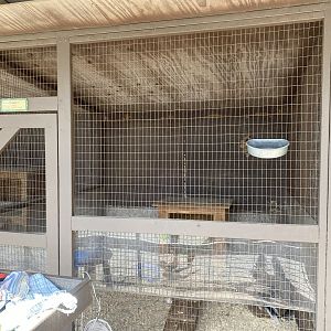 Striped Skunk Exhibit