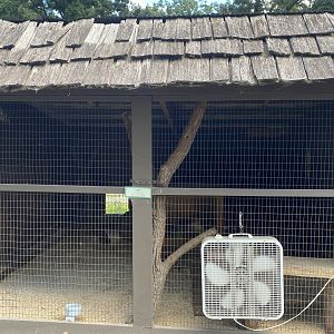 Virginia Opossum Exhibit