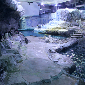 Polk Penguin Conservation Center