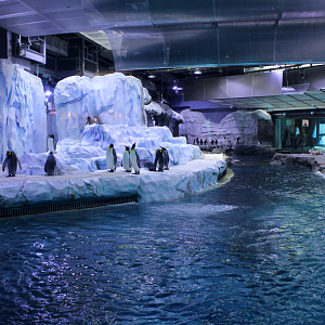 Polk Penguin Conservation Center