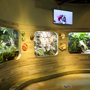 National Amphibian Conservation Center - Various Exhibits