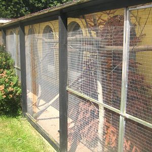 Dyrenes Verden - Genet exhibit