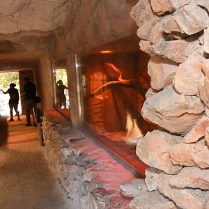Reptile House Interior