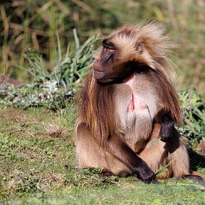 Harry enjoying a snack