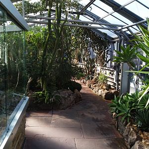 Winter garden - Cacti garden