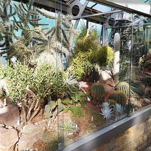 Winter garden - Cacti garden