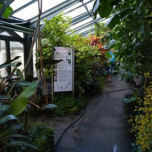 Winter garden - Orchids garden