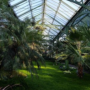 Winter gardens - Palm garden