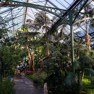 Winter gardens - Palm garden