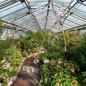 Winter gardens - Mediterranean garden