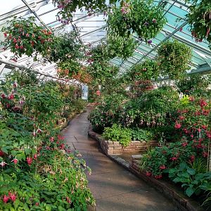 Winter gardens - Fuchsia garden