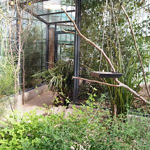 Winter gardens - Estrildid aviary