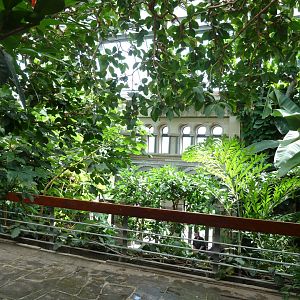 Moorish Bathhouse - Asiatic bird section