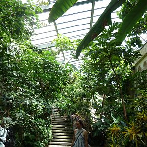 Moorish Bathhouse - Asiatic bird section