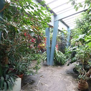 Moorish Bathhouse - Asiatic bird section