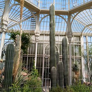 Moorish Bathhouse - Cacti winter garden