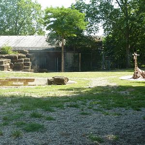 Giraffe and lesser kudu enclosure