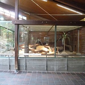 Giraffe house - Fennec enclosure