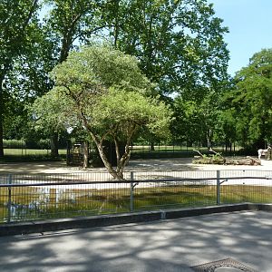 Somali wild ass enclosure