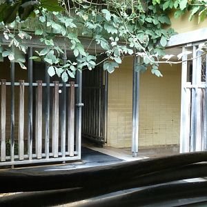 Tapir house interior